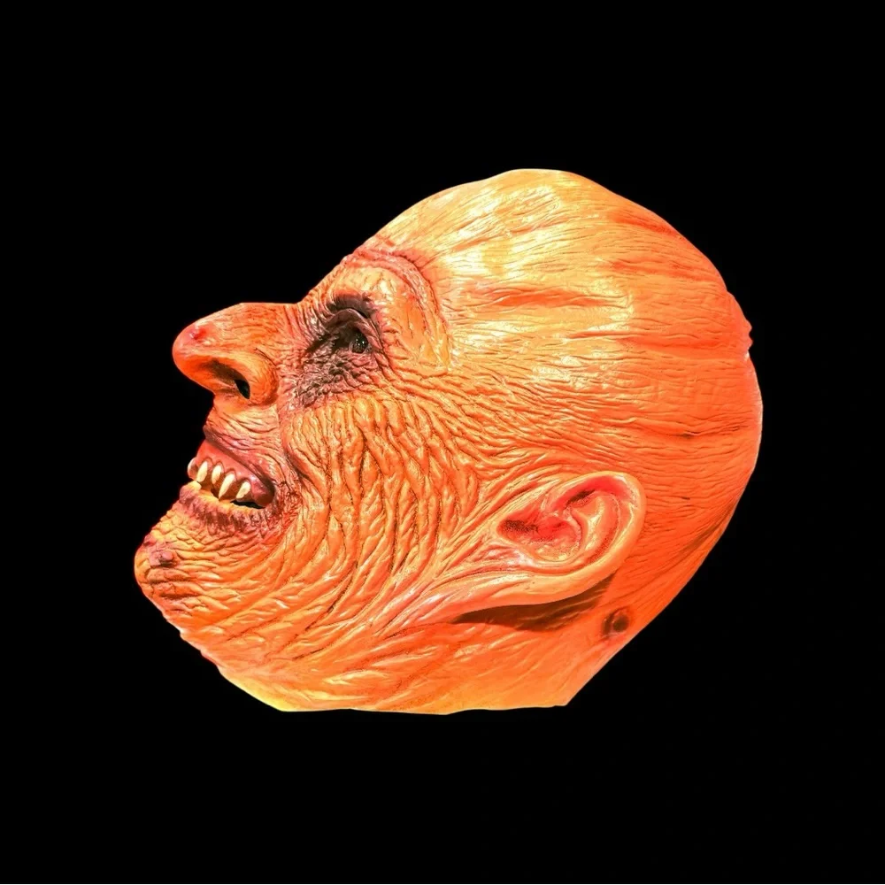 PUMPKIN- HEAD DELUXE HALLOWEEN HEADPIECE MASK KIDS/ADULTS